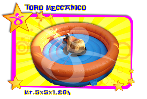 TORO MECCANICO