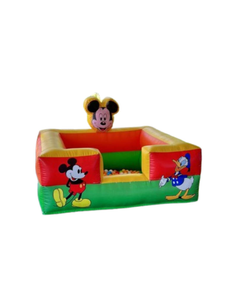 PISCINA PALLINE