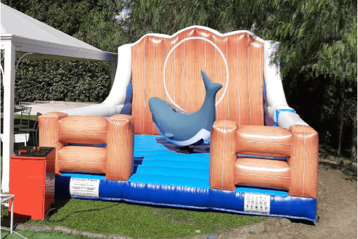 giochi-per-bambini-gonfiabili-squalo-meccanico-vendita-02