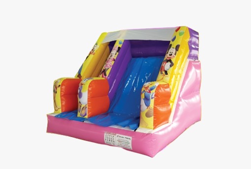 MINI DISNEY SLIDE