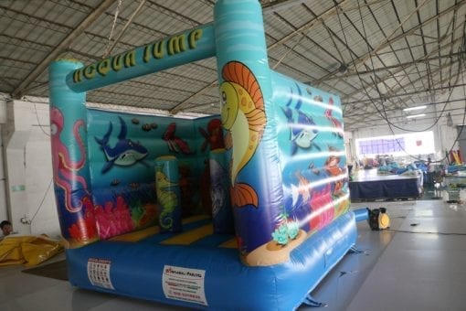 giochi-gonfiabili-vendita-acqua-jump-05